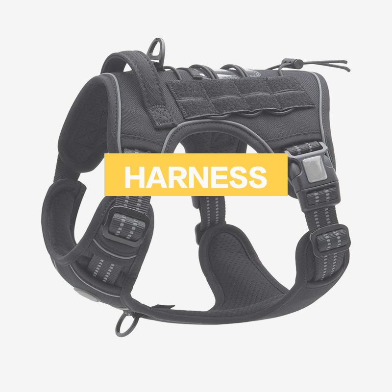 Pet Harness