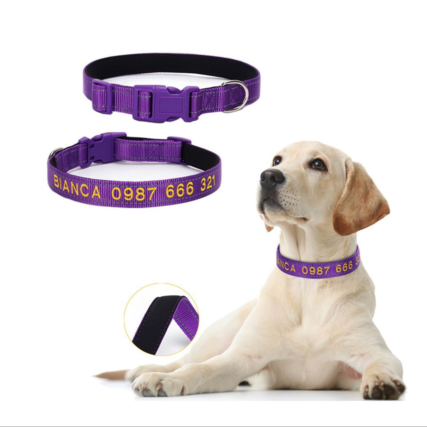 Personalized embroidered reflective dog collar in purple with name and phone number embroidery, shown on pet for fit and comfort