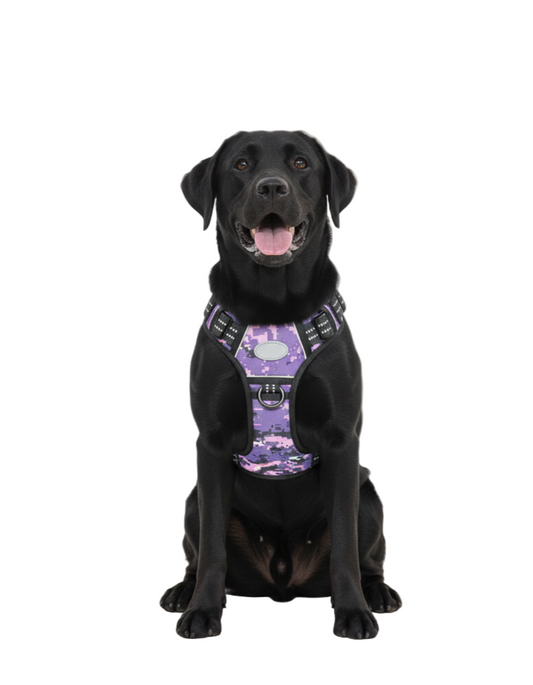 Dog wearing Purple camouflage no-pull harness for large breeds, featuring adjustable straps for secure and comfortable fit
