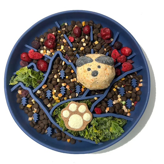 ⛰️Mountaineer Themed Slow Feeder Bowl-5 colors