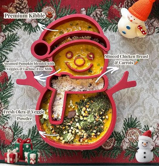 DIY Pumpkin Snowman Soup: A Healthy Christmas Feast for Dogs 🎃⛄