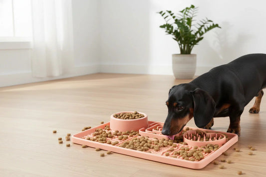 Why Does My Dog Eat So Fast?  7 Ways to Slow Down a Speedy Eater (2025 Guide)
