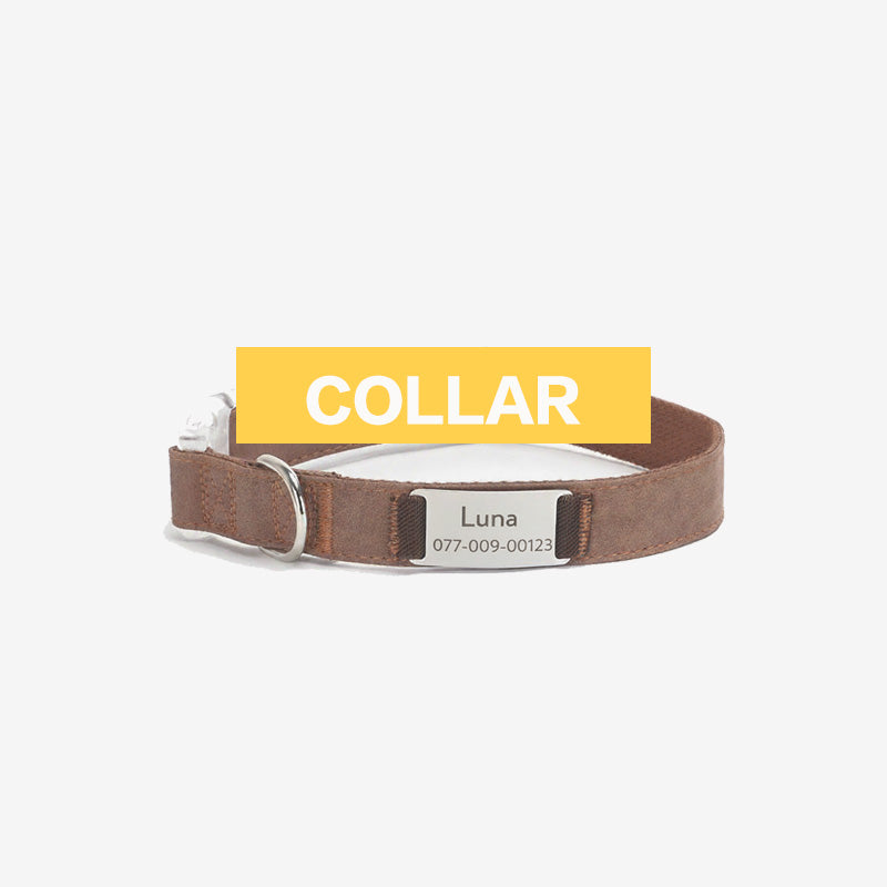 Pet Collars