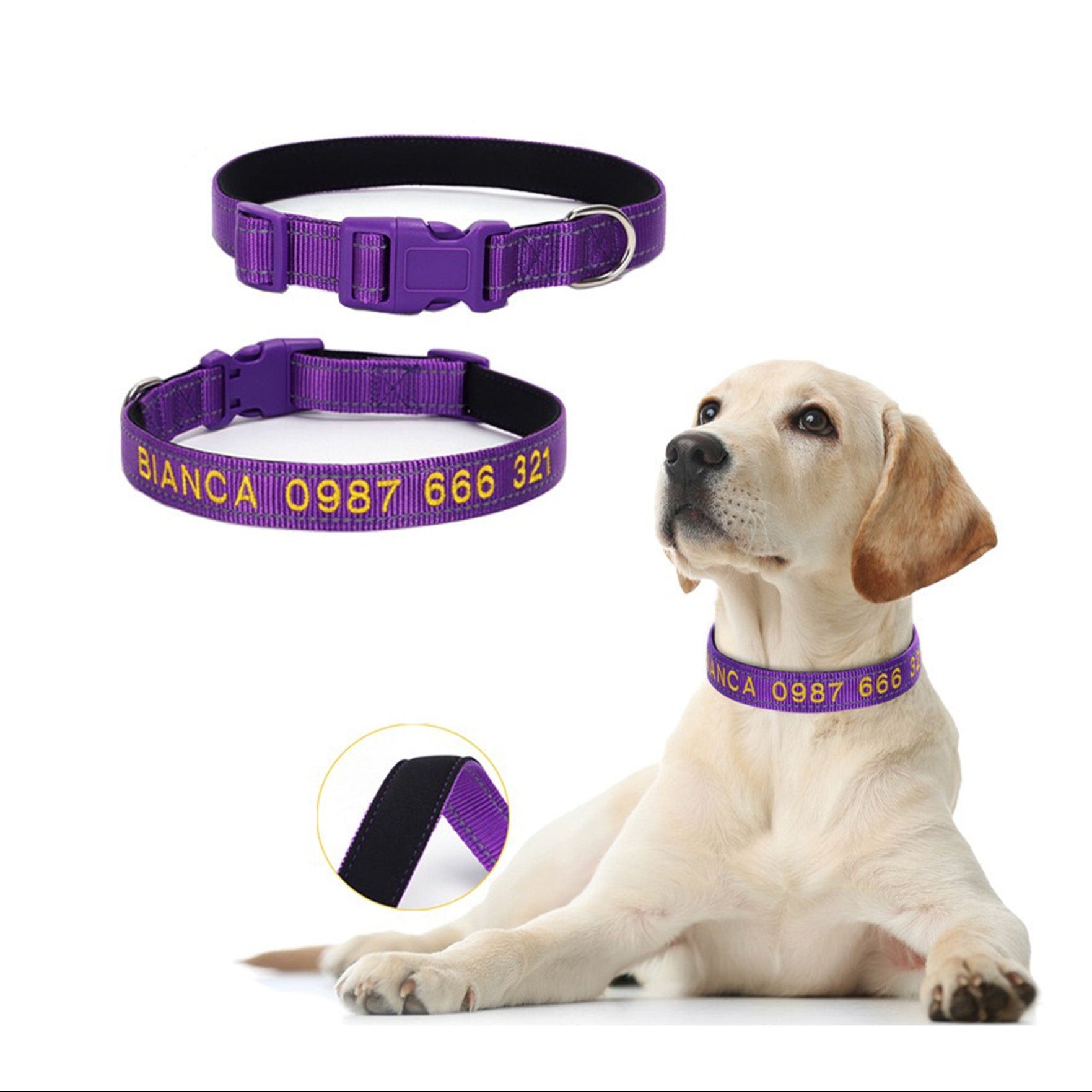 Personalized embroidered reflective dog collar in purple with name and phone number embroidery, shown on pet for fit and comfort