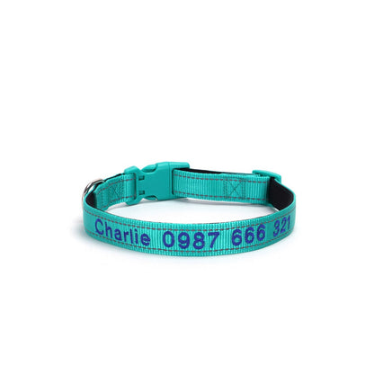Custom embroidered reflective dog collar in Tiffany Blue, waterproof and anti-loss design