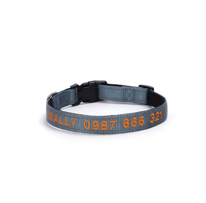 Personalized embroidered reflective dog collar in gray with durable nylon material