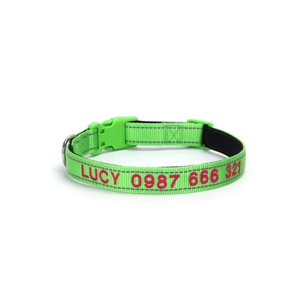 Personalized embroidered reflective dog collar in green with name and phone number embroidery, shown on pet for fit and comfort