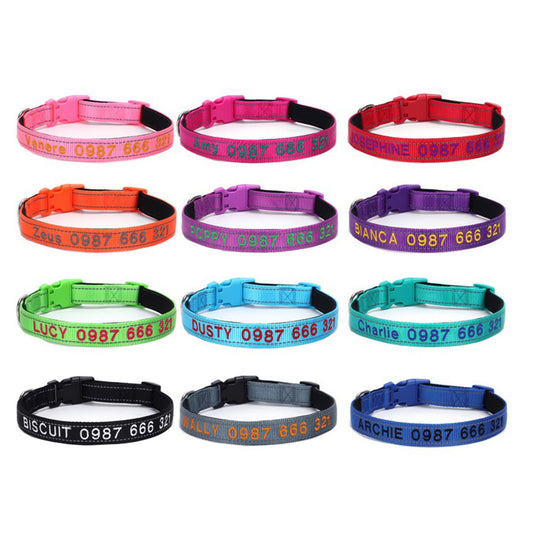 Personalized embroidered reflective dog collar in green with name and phone number embroidery, shown on pet for fit and comfort