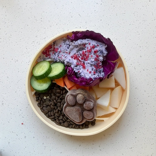 Dual-Zone Silicone Slow Feeder Bowl