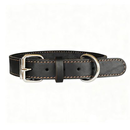 Wide leather dog collars in black with premium metal buckles and strong stitching