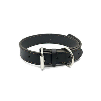 Reinforced Leather Dog Collar for Large Breeds |HRR dog