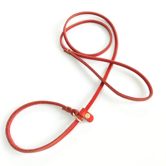 Professional Dog Training Leash - Anti-Pull Leather | HRR dog​