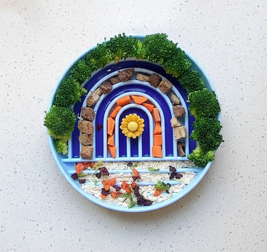 Blue Rainbow Silicone Slow Feeder Bowl & Lick Mat