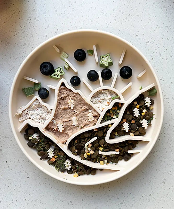 ⛰️Mountaineer Themed Slow Feeder Bowl-5 colors