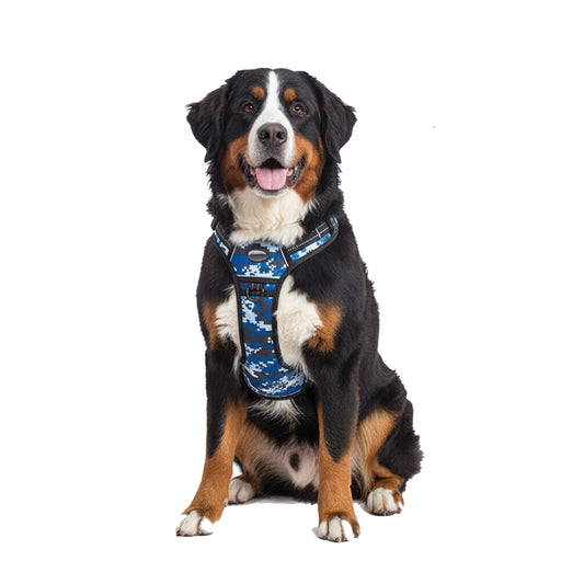 Blue dog harness for large breeds, designed with metal traction ring, adjustable buckles, and reflective elements for outdoor safety