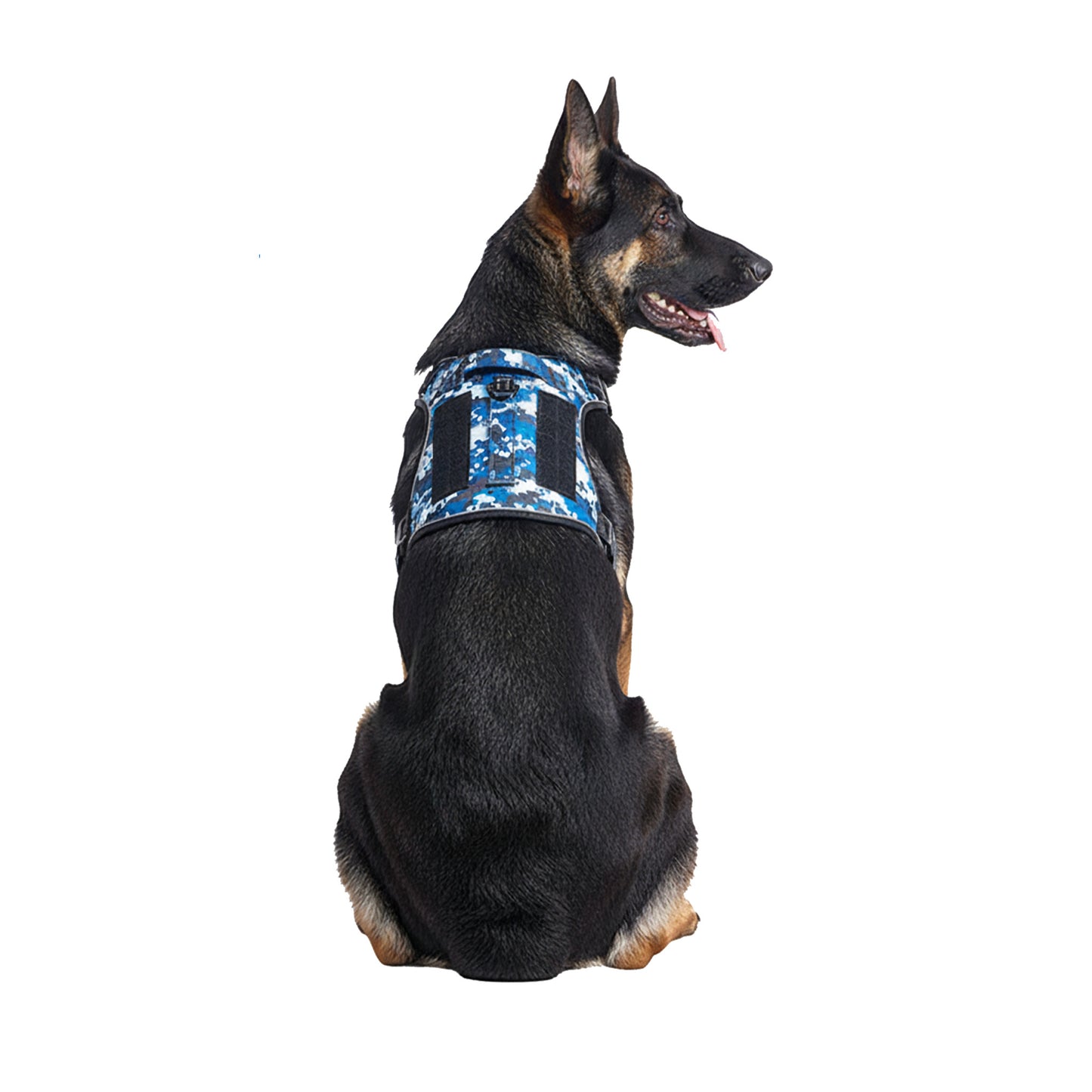Large breed dog wearing Blue camouflage  no-pull harness, showing adjustable back buckle and heavy-duty handle for control