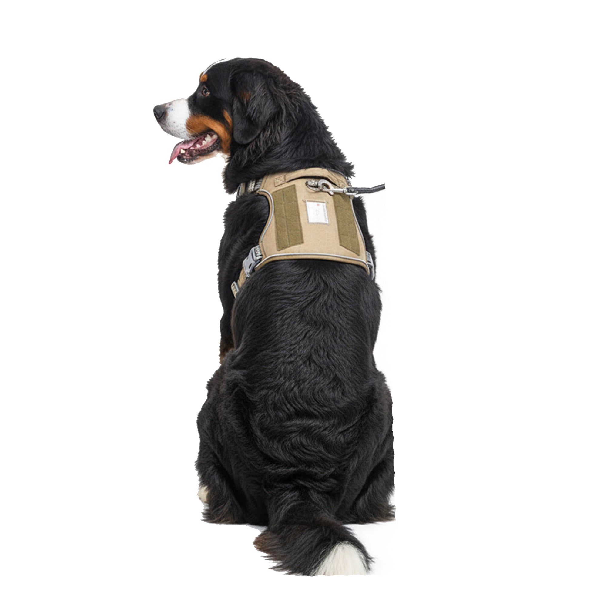 Dog wearing Army green  no-pull harness, featuring escape-proof back buckle, metal ring, and sturdy handle for extra safety