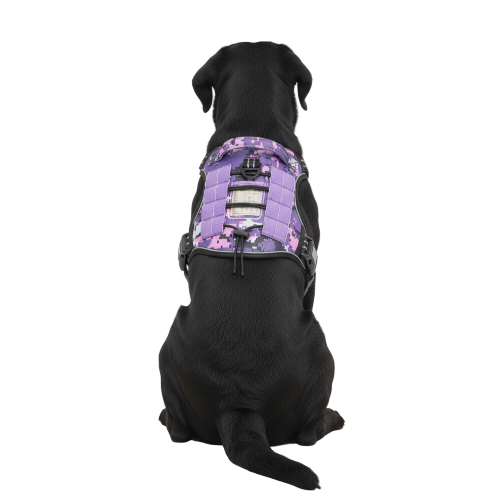 Dog showing Purple camouflage  view with tactical black harness for large breeds, featuring adjustable buckle and reinforced stitching